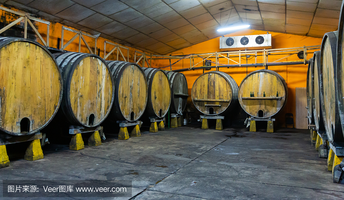 当代苹果酒工厂一排排的木桶。阿斯图里亚斯。西班牙